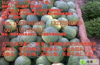 河南西瓜价格最新行情,河南西瓜价格最新行情分析