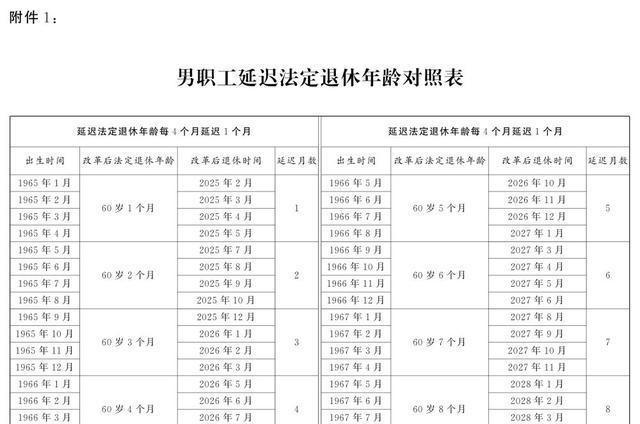 技术咨询 第247页