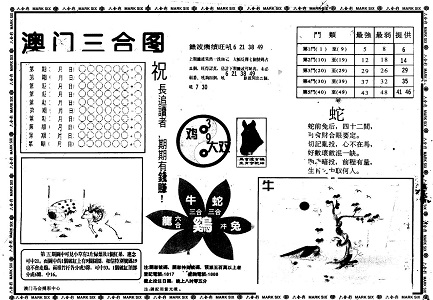 7777788888王中王中特,探索神秘数字组合，王中王中特与数字7777788888的魅力