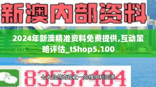 2024新澳精准正版资料,探索2024新澳精准正版资料的价值与重要性