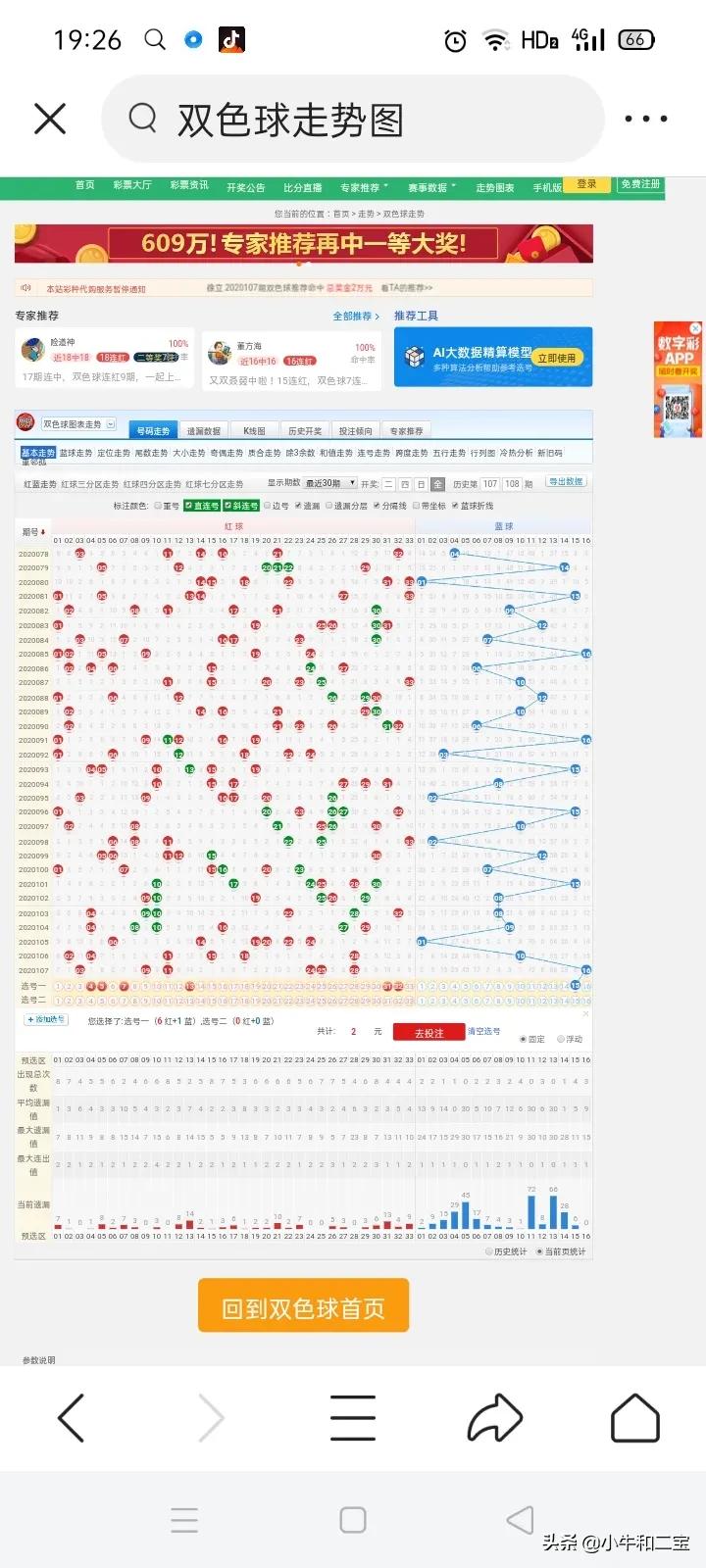 澳门今晚特马开什么号,澳门今晚特马开什么号，探索随机性与预测的边缘