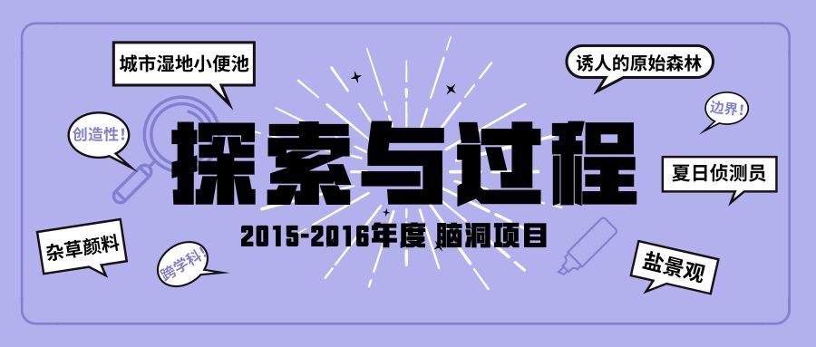 新奥门资料精准一句真言,新澳门资料精准一句真言——探索现代澳门的独特魅力