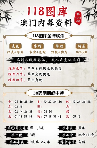 2025澳彩管家婆资料龙蚕134期 03-08-28-39-40-41P：05,探索澳彩管家婆资料龙蚕的秘密，第134期的数字奥秘与未来展望