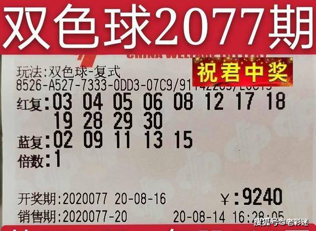 2025澳门特马今晚开网站104期 01-03-12-15-32-49G：04,澳门特马彩票网站，探索未来的彩票世界与数字奥秘（第104期分析）