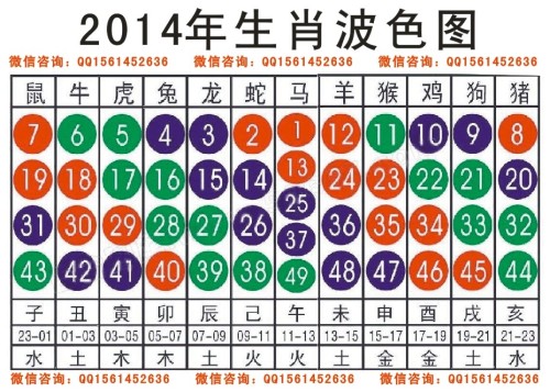 2025十二生肖49个码004期 04-49-26-19-30-44T：10,探索十二生肖与彩票密码，一场神秘数字之旅