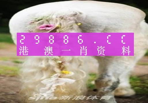 新澳门资料全年免费精准027期 01-05-10-26-27-34U：35,新澳门资料全年免费精准解析，探索第027期的数字奥秘（附解析U，35）